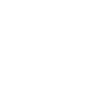 viceroy-hotel-group-logo